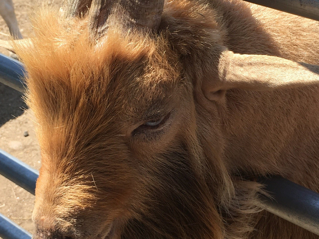 Silverman's Farm-Easton必去景点