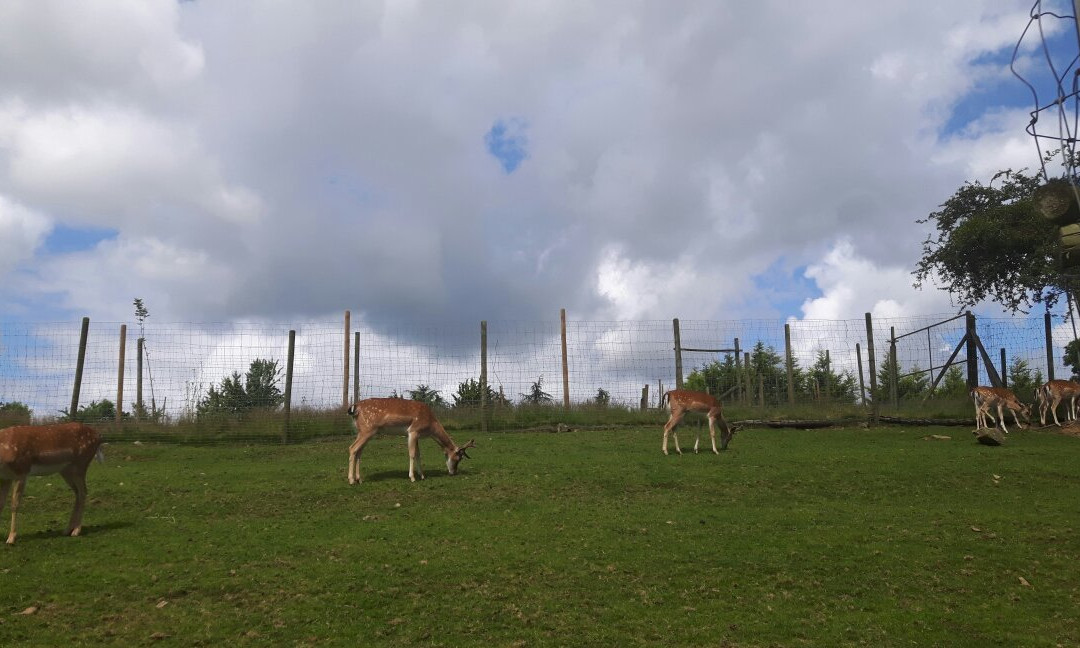 Saint-Laurent-des-Autels旅游攻略图片