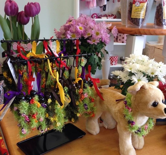 Aloha Pawz-希洛必去景点