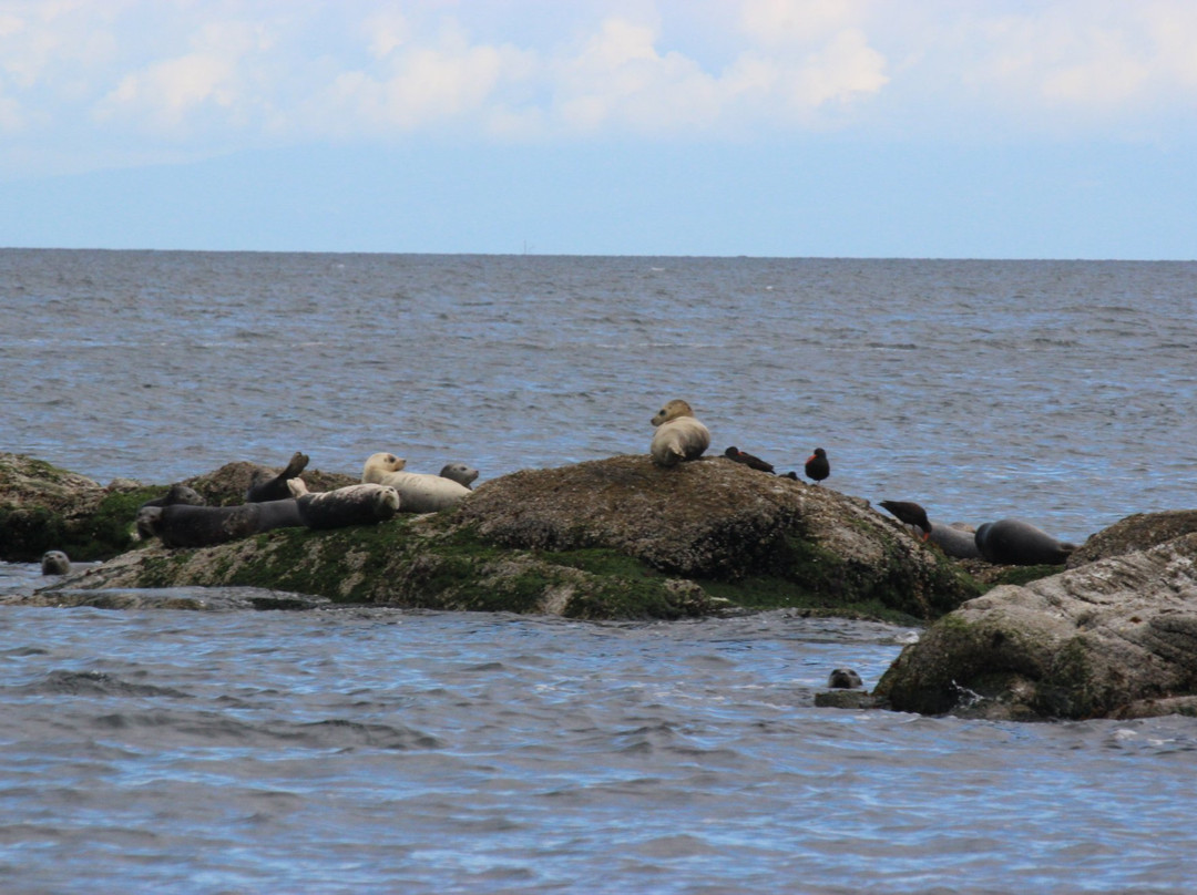 Mayne Inter Island Sea Tours-Mayne Island必去景点