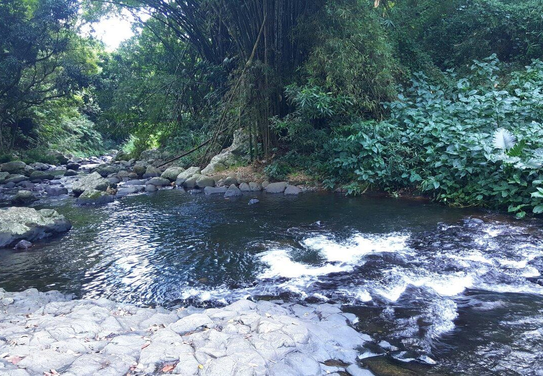Cascade Delices景点图片