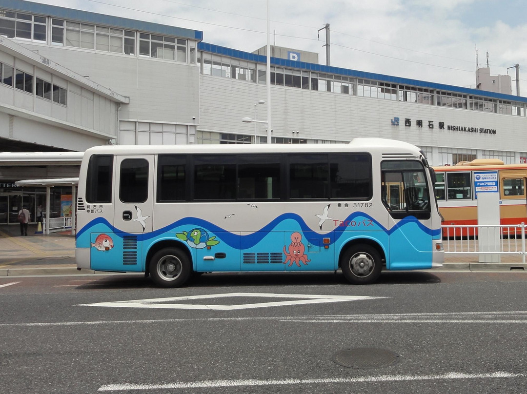 Akashi City Taco Bus景点图片