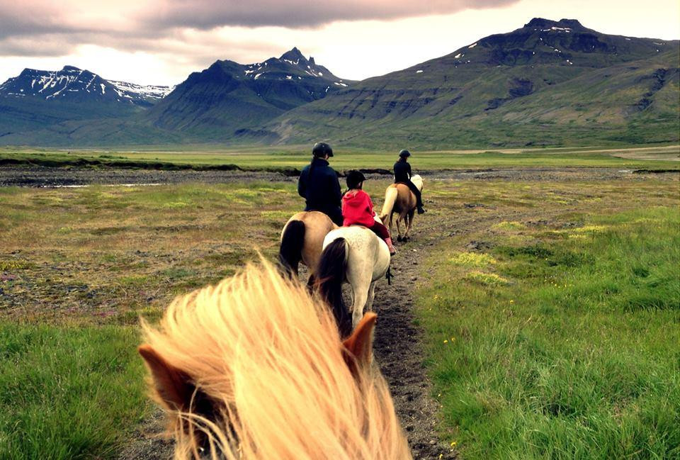 Odin Tours-Breiddalsvik必去景点