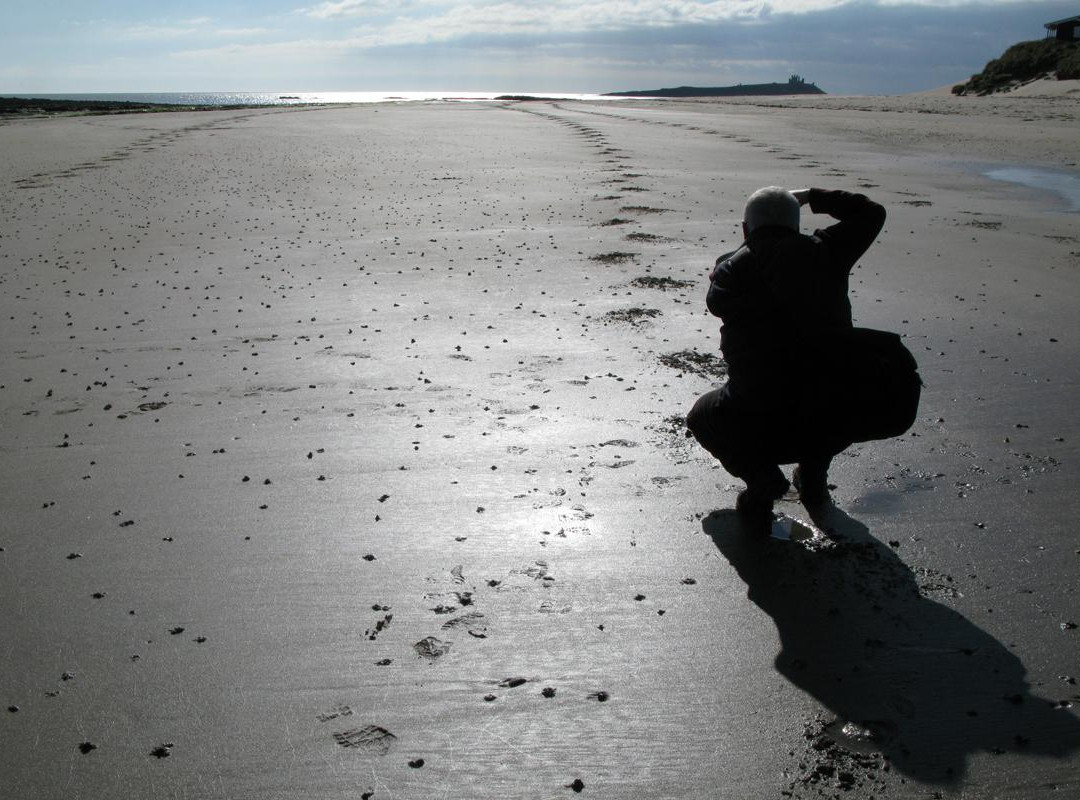 Northumberland Photo Training-阿尼克必去景点