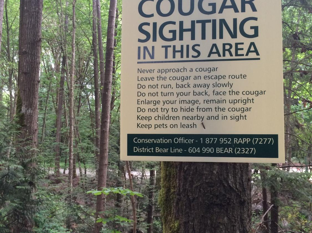 Mosquito Creek Hiking Trail-北温哥华必去景点