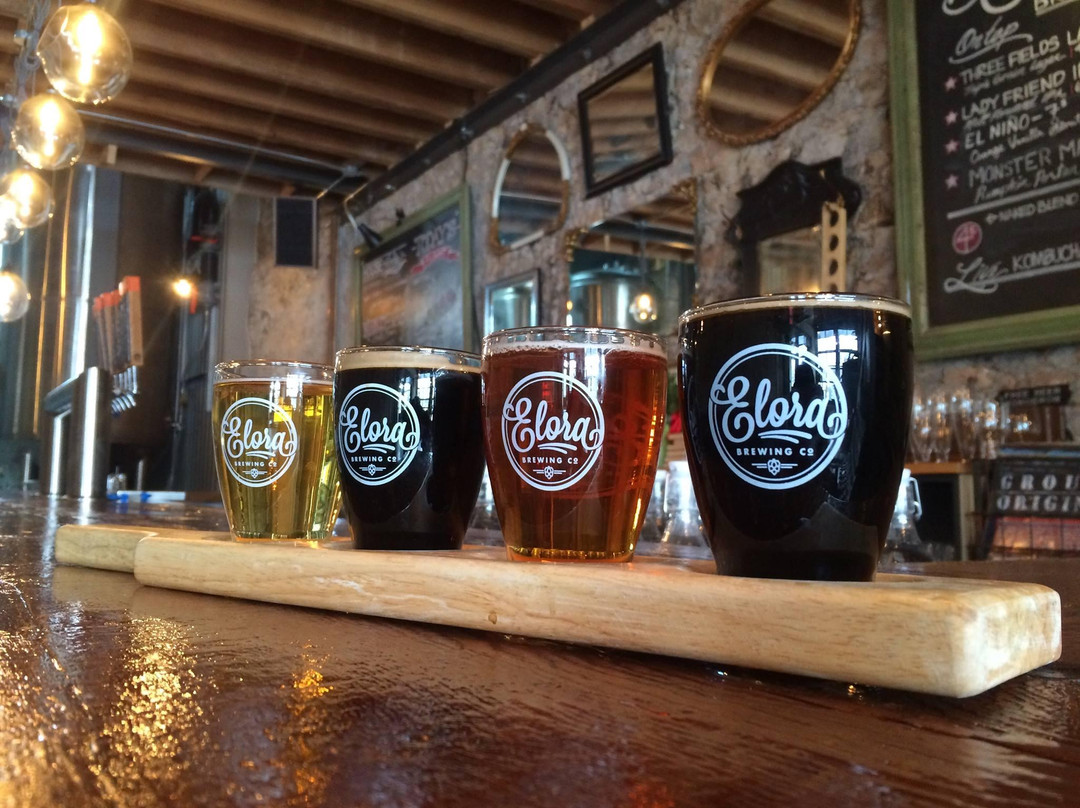 伊劳拉餐馆和美食-Elora Brewing Company