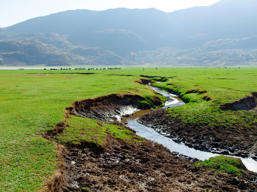 文海-丽江市必去景点