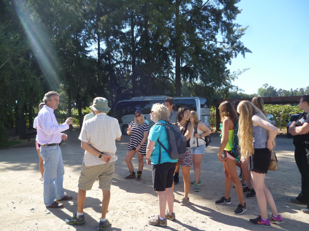 Vina Las Pitras-Curico必去景点