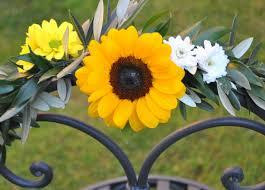 Parco degli Ulivi主图