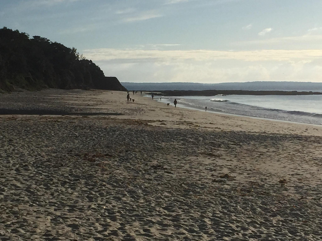 Nelson Beach景点图片