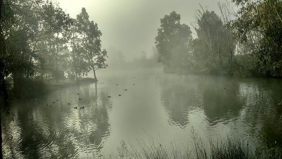 Parque Tierno Galvan-圣马丁德拉维加必去景点