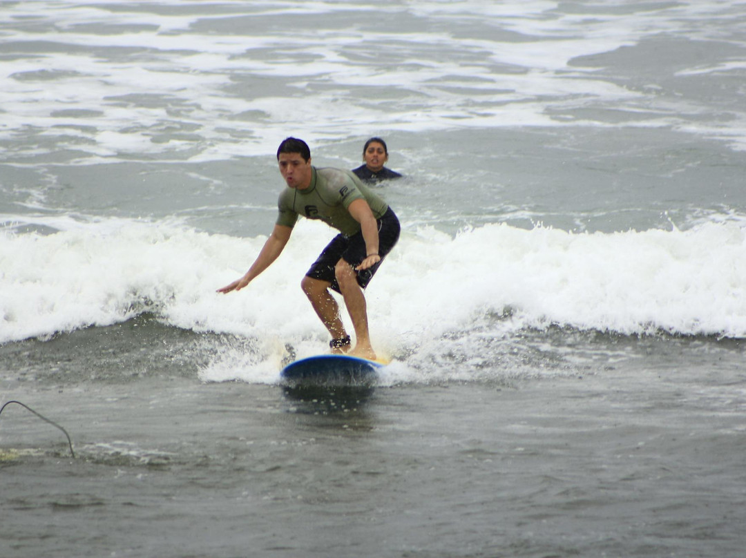Zecão Surf School-乌巴图巴必去景点