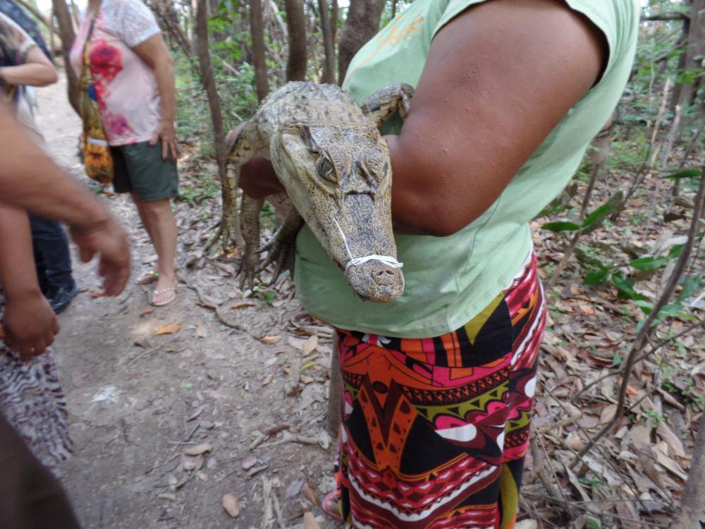 Comunidade do Catalão Amazonas