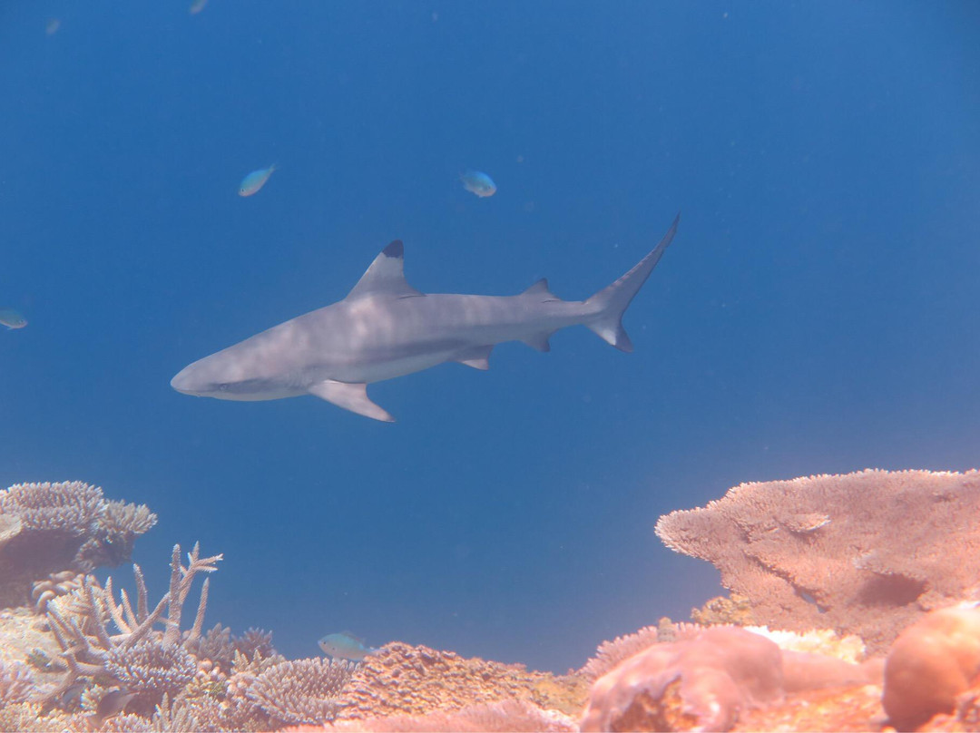 HP暗礁-满月岛必去景点