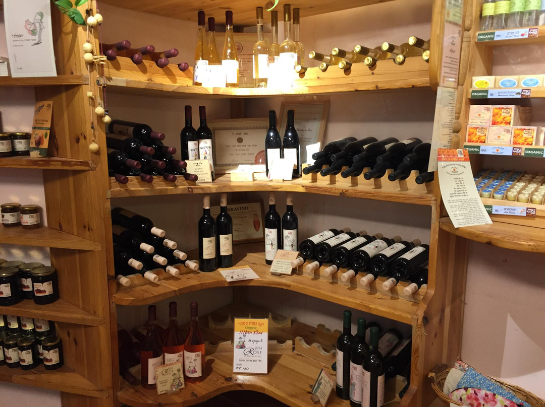 Neot Semadar Tour-埃拉特必去景点