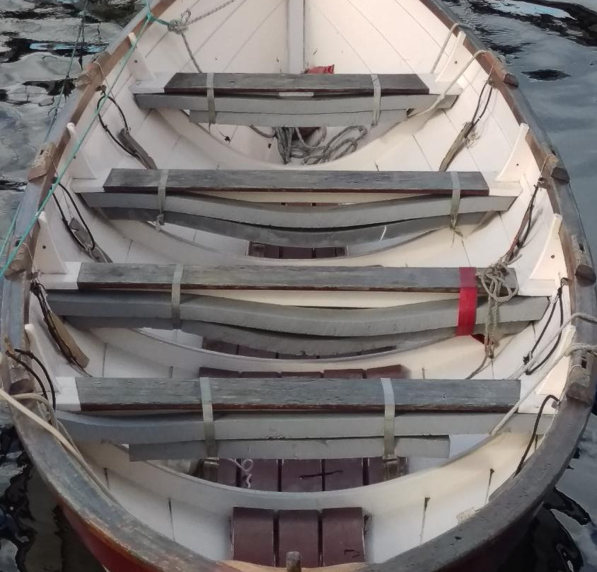 River to Rainforest-霍巴特必去景点