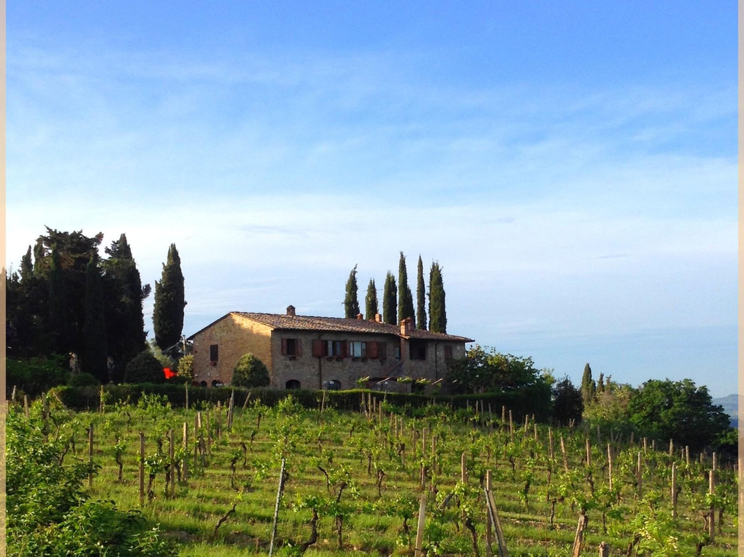 Podere La Marronaia- Le Colonne Biodynamic Winery & Farm-圣吉米尼亚诺必去景点