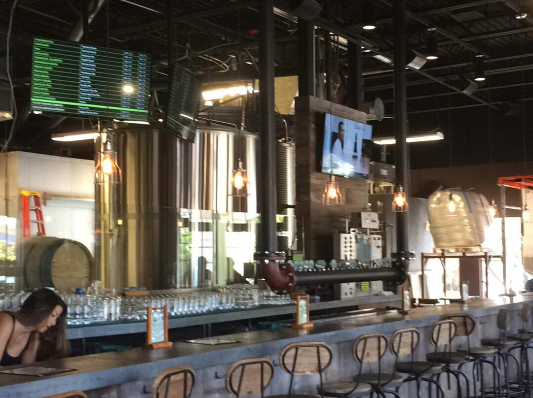 Twisted Trunk Brewing