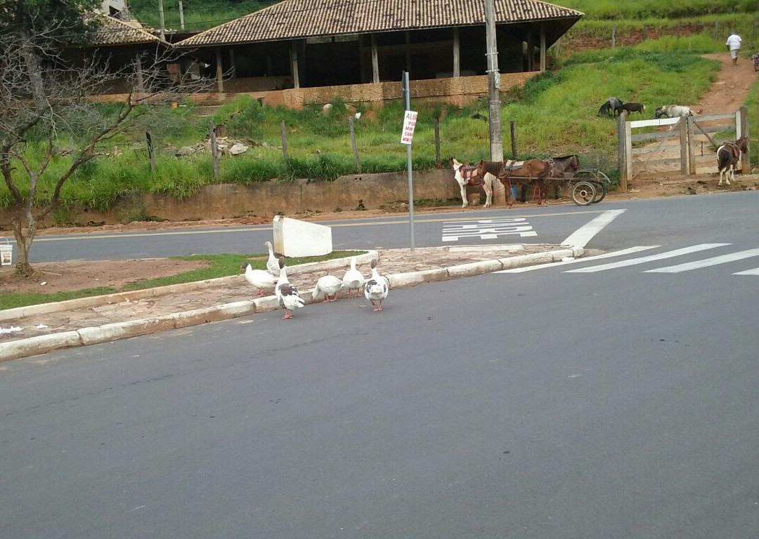 Represa Cavalinho Branco-阿瓜斯迪林多亚必去景点