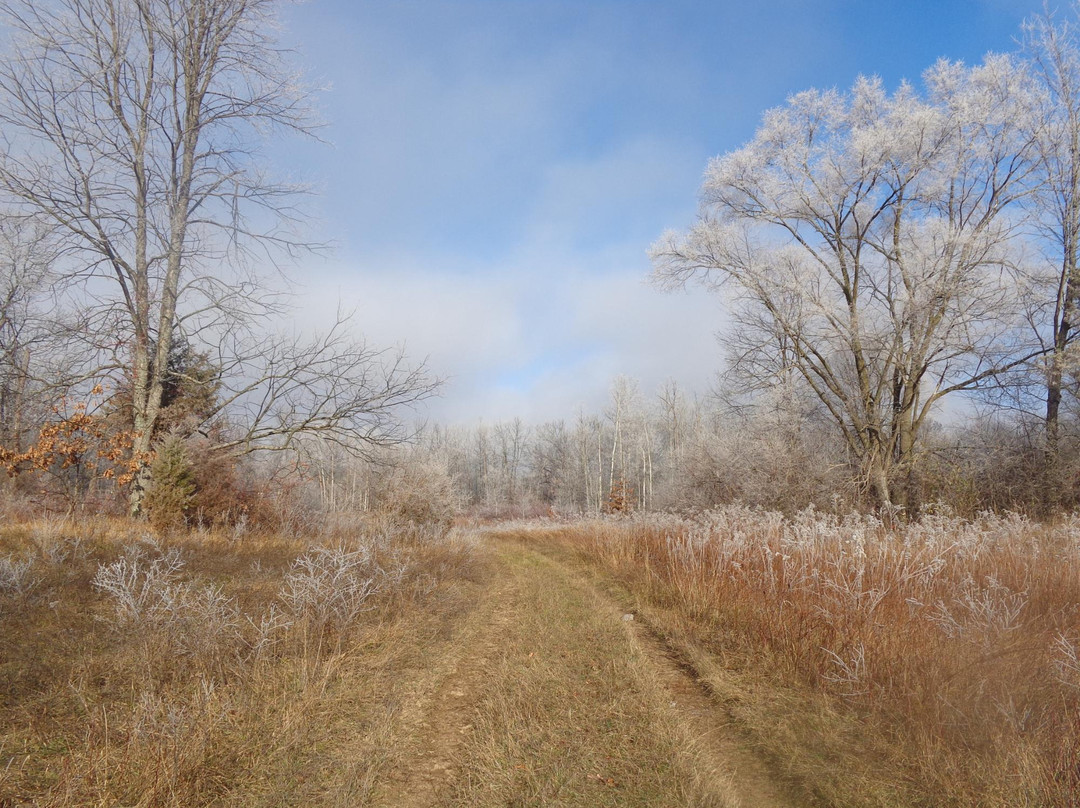 Waterloo-Pinckney Hiking Trail景点图片