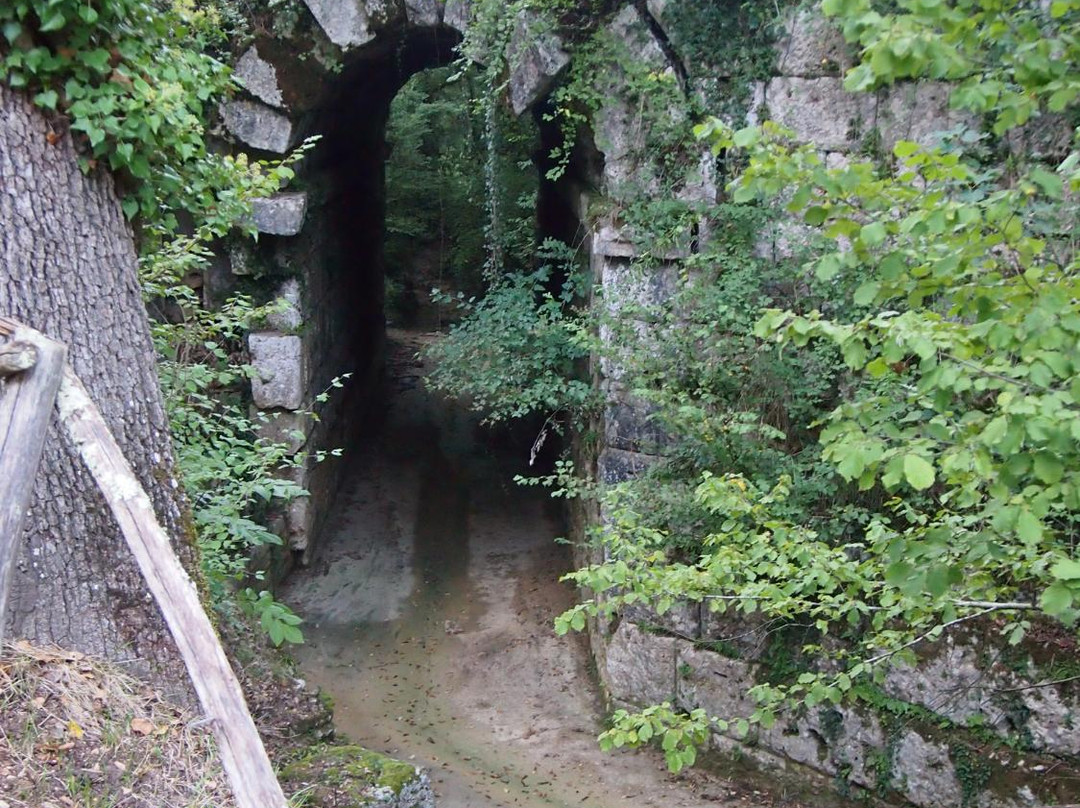 Massa Martana旅游攻略图片