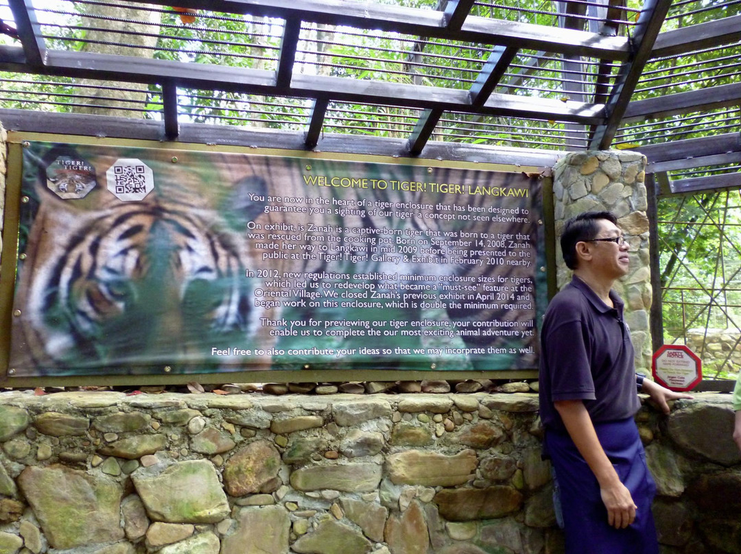 Tiger! Tiger! Gallery & Exhibit景点图片