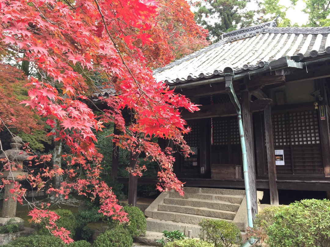 Daimon-ji Temple-茨木市必去景点
