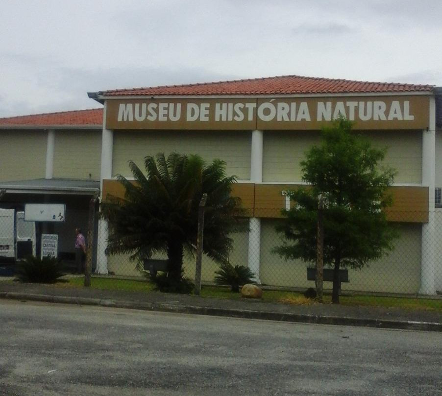 Museu de Artes Plásticas Anderson Fabiano景点图片
