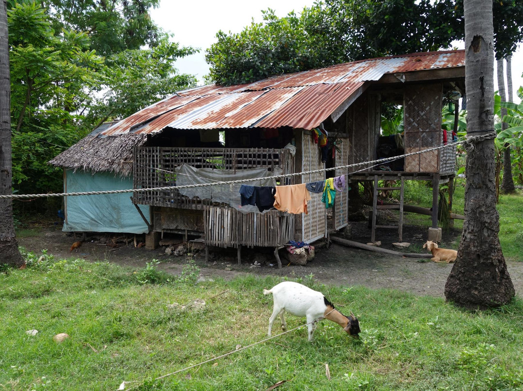 Mancao Ancestral House-Carcar必去景点