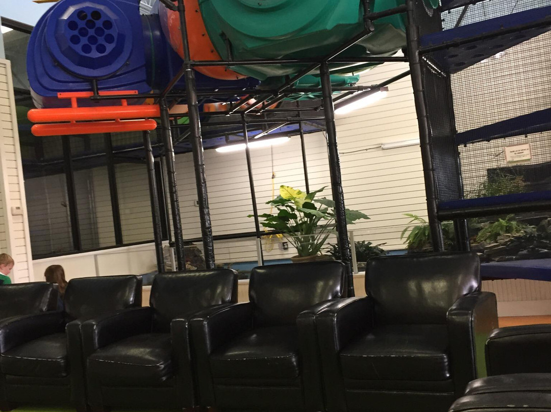 Bounce-n-Play-夏洛茨维尔必去景点