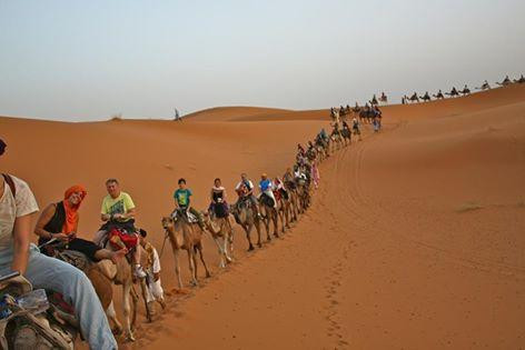 Camel Trek Bivouac-梅如卡必去景点