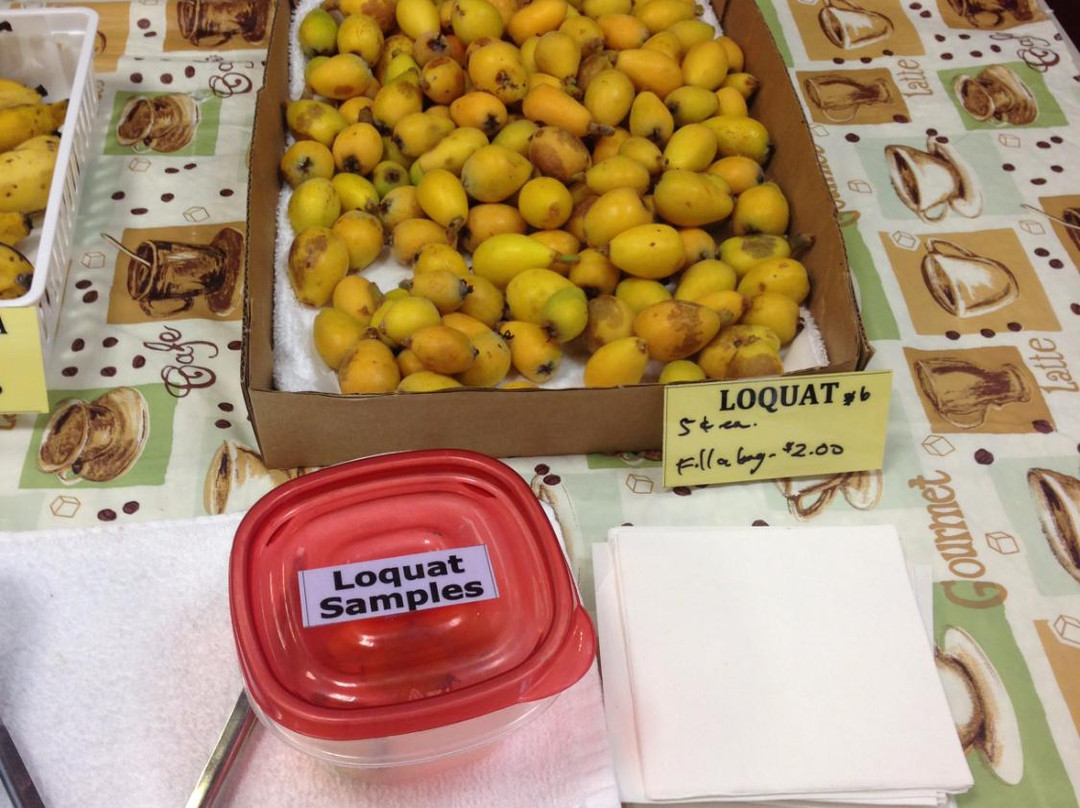 Kona Pacific Farmers Cooperative-库克船长必去景点