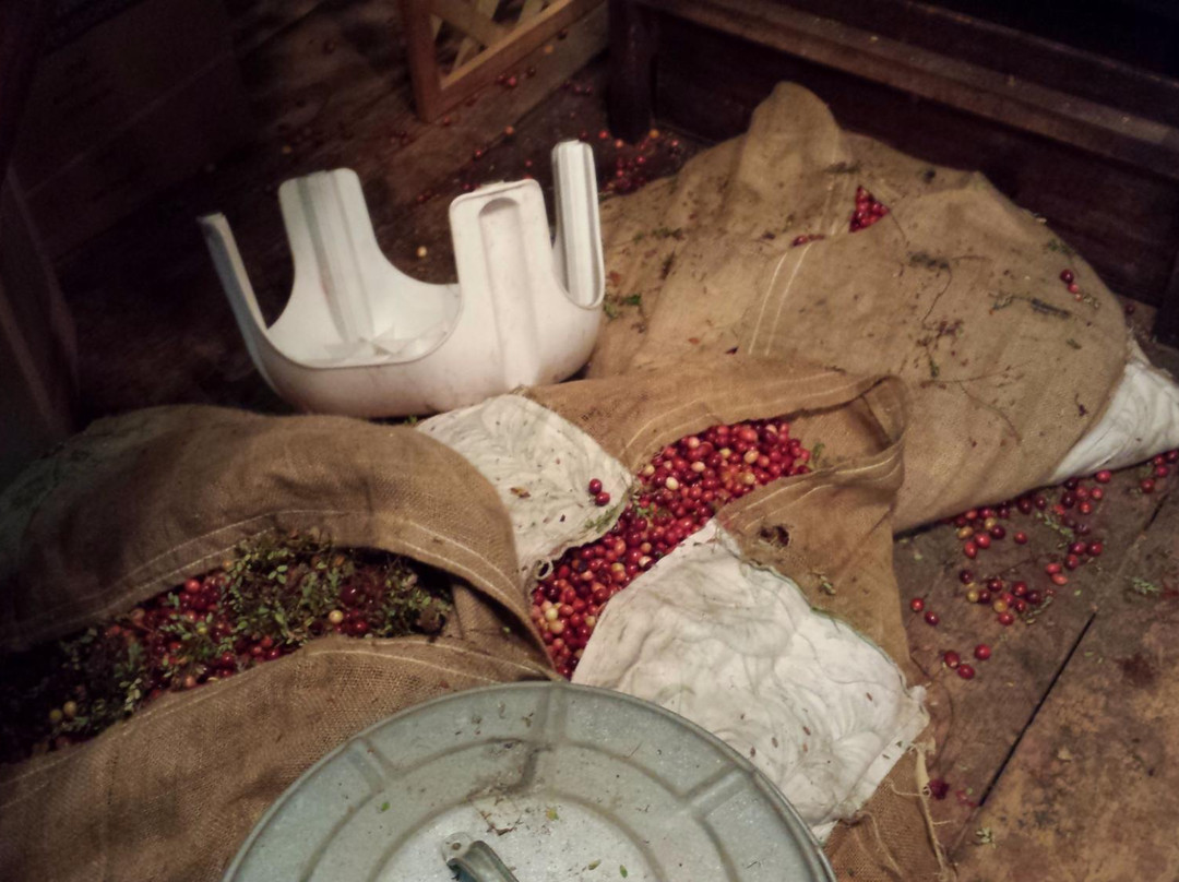 Flax Pond Farms-Carver必去景点