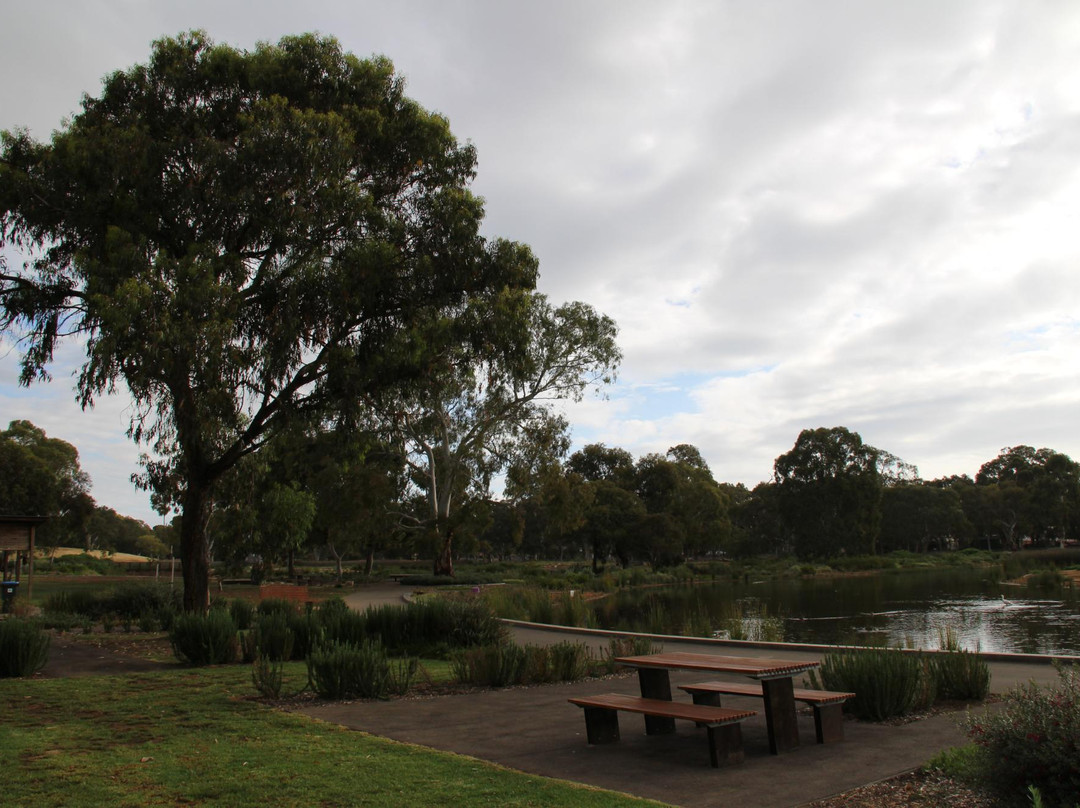 Oaklands Wetland景点图片