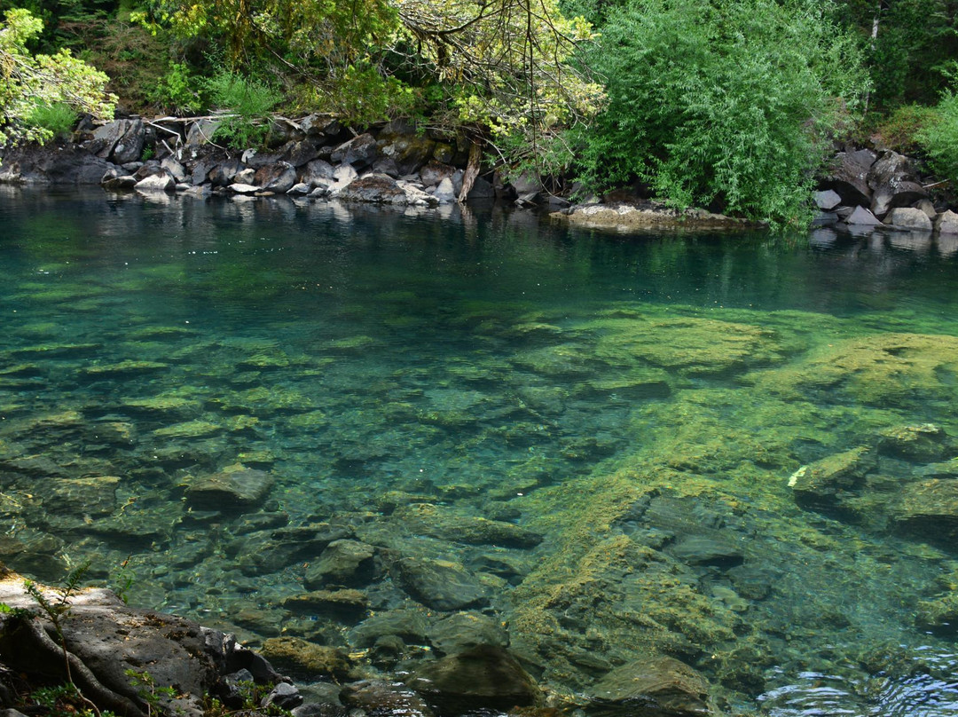 Huilo Huilo Reserva Biológica