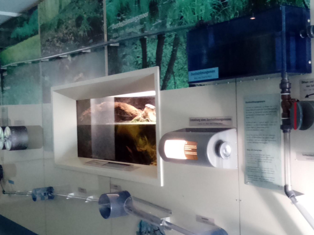 Kreidemuseum Rügen景点图片