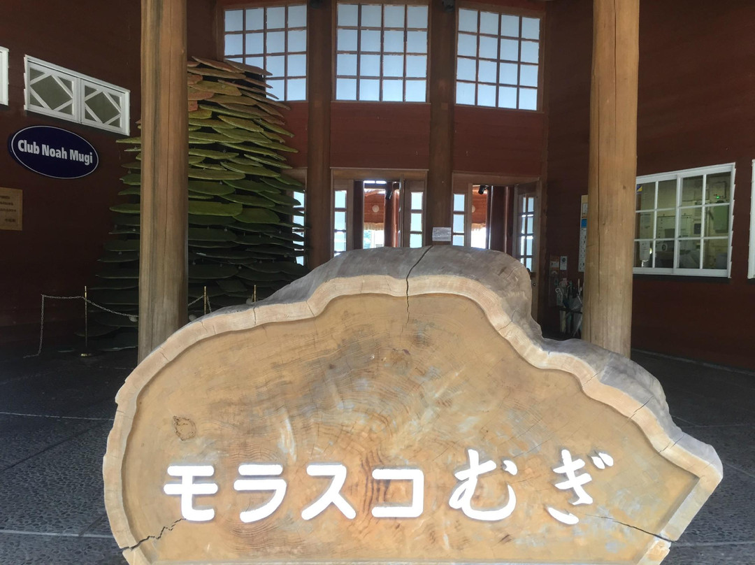 Mollusco Mugi-牟岐町必去景点