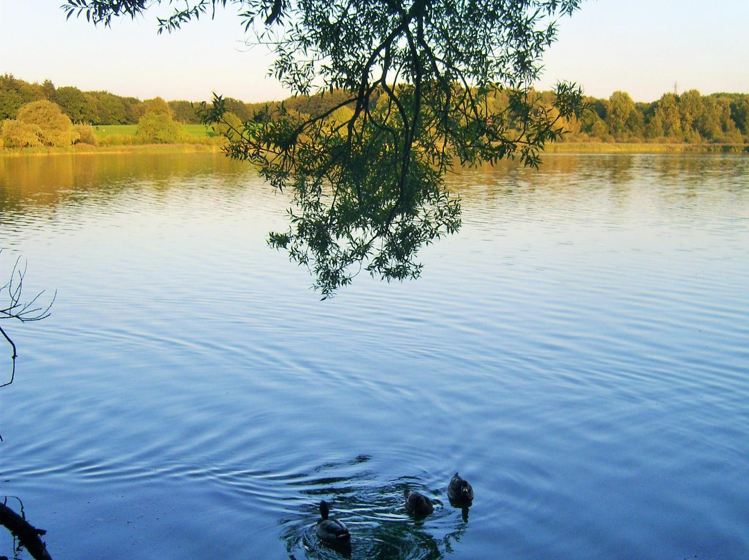 Öjendorfer Park景点图片