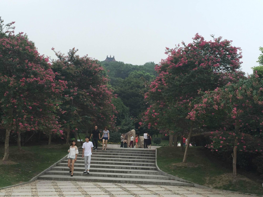 海宁西山公园景点图片