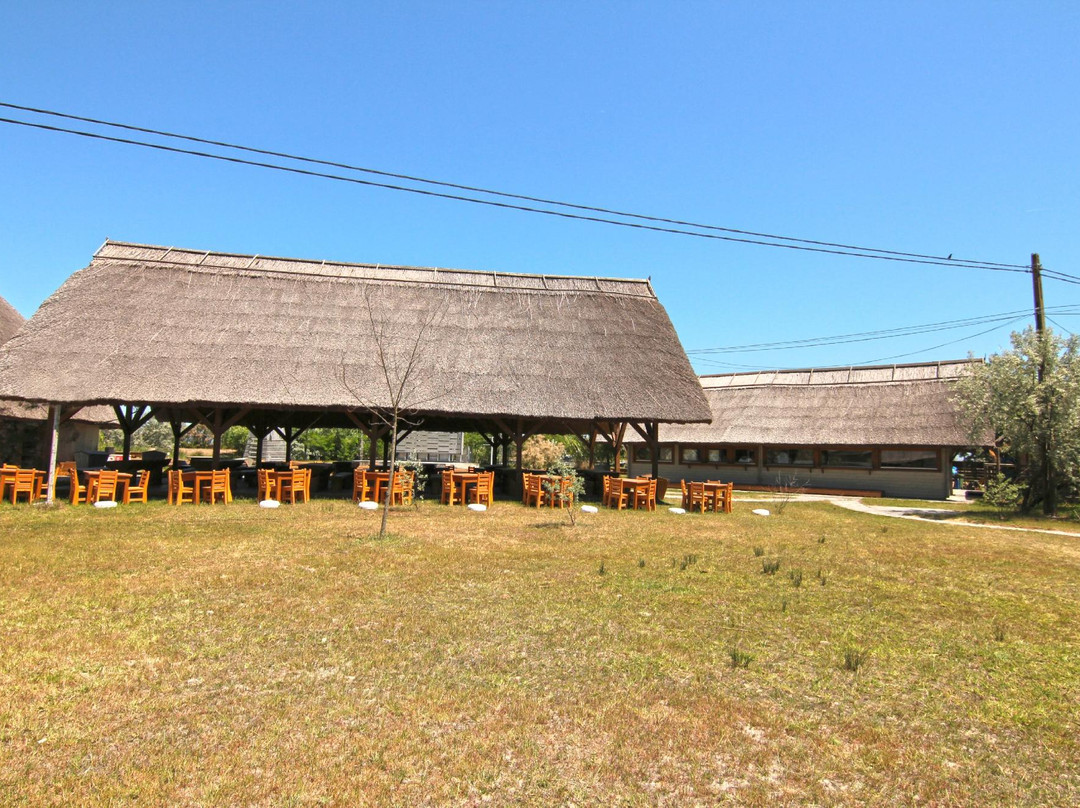 Green Dolphin Camping