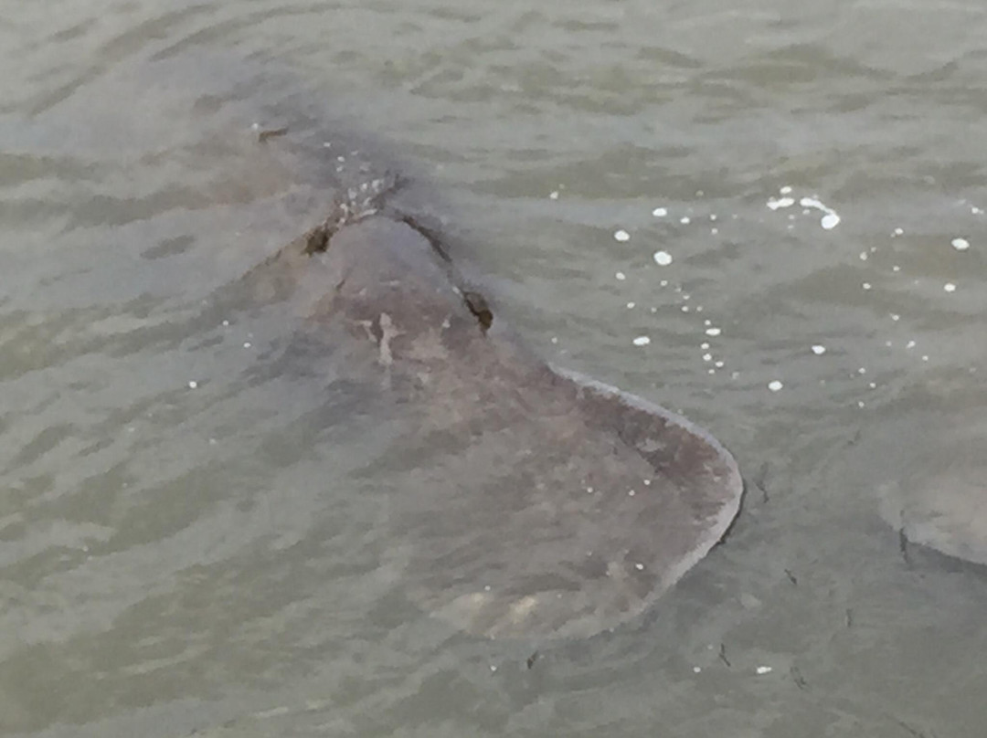 Round Island Beach Park-维罗海滩必去景点