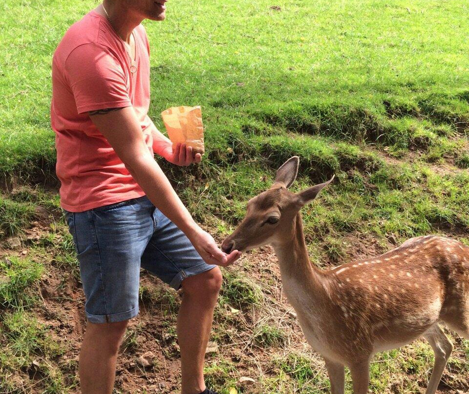 Wildpark Gersfeld-Gersfeld必去景点