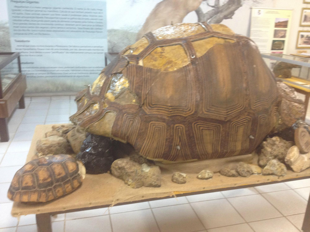 Panteology Museum-Rio Branco必去景点