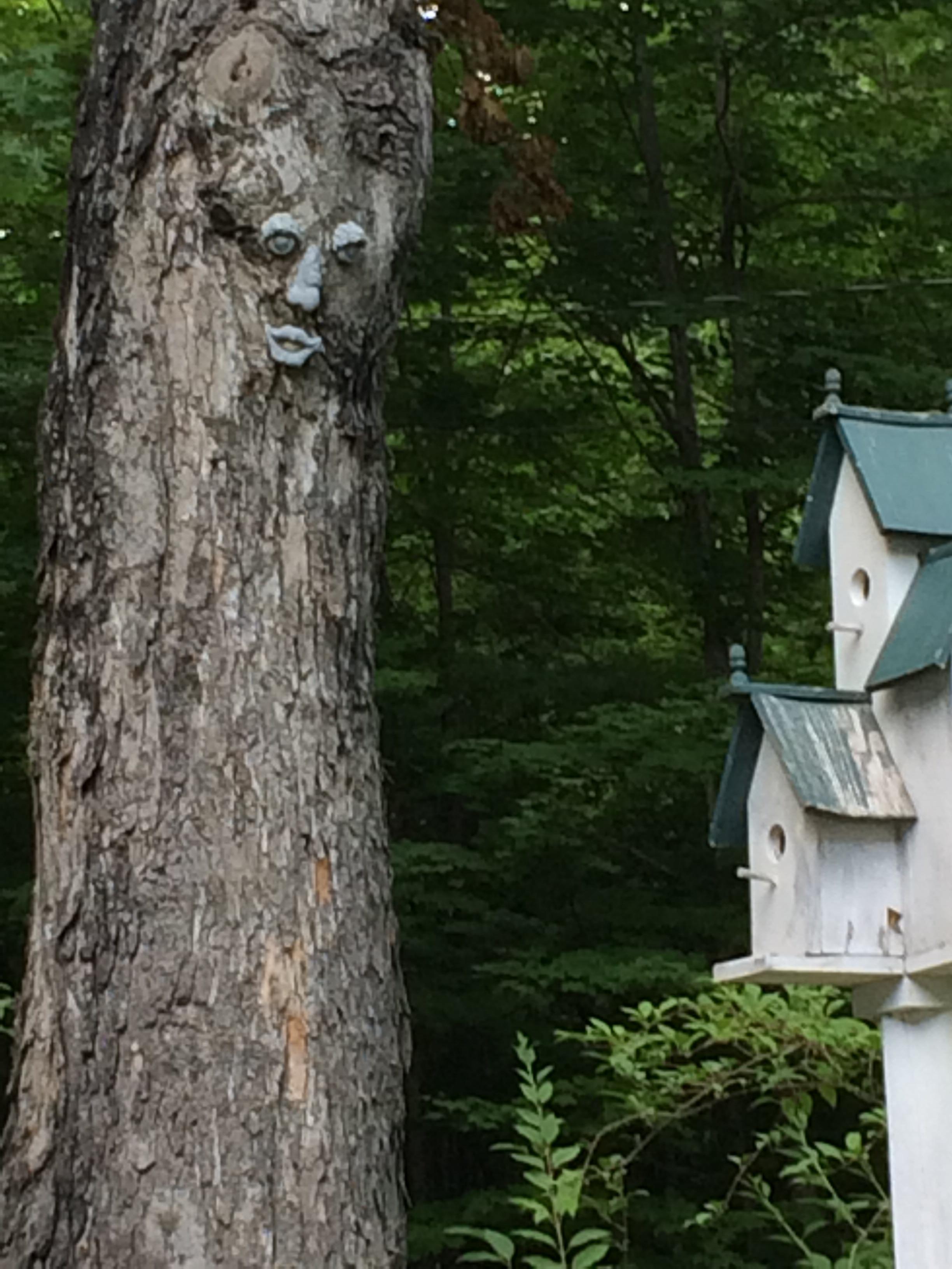 Harrisville Inn Bed & Breakfast-浴室