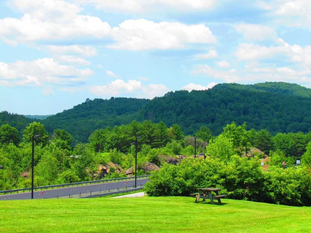 Sharon旅游攻略图片