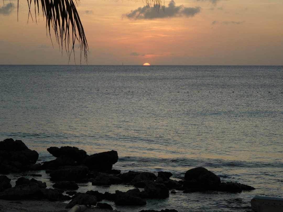 A Water Odyssey Scuba-Williamsport必去景点