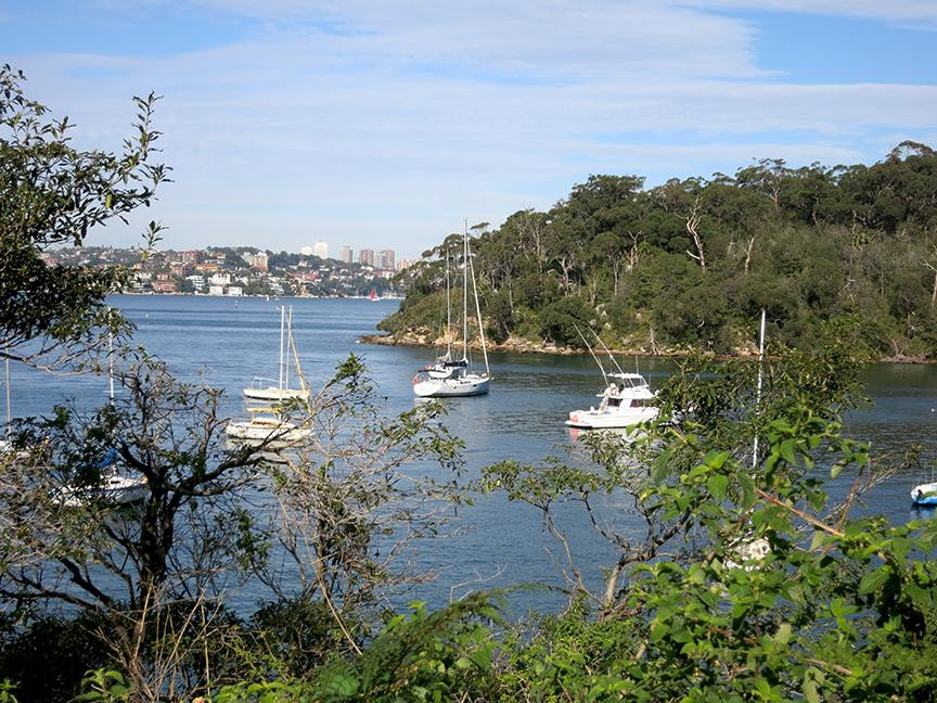 塔隆加动物园到曼利海滩漫步-悉尼必去景点