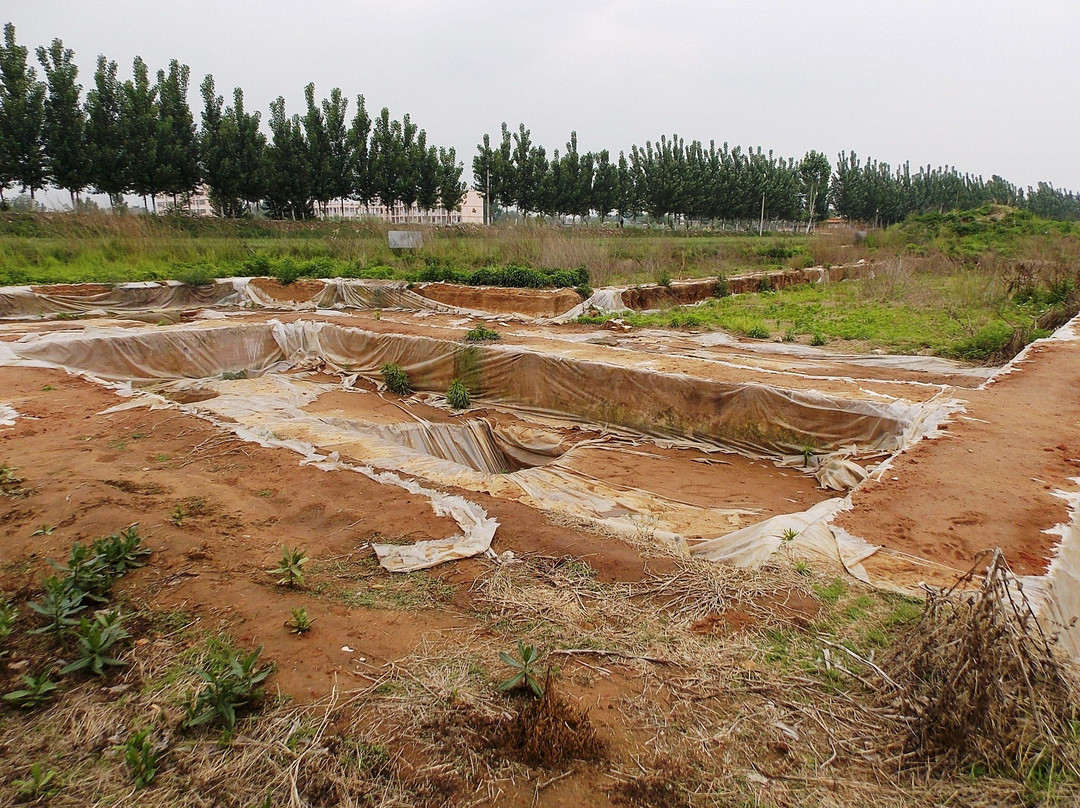 大汶口遗址-泰安市必去景点