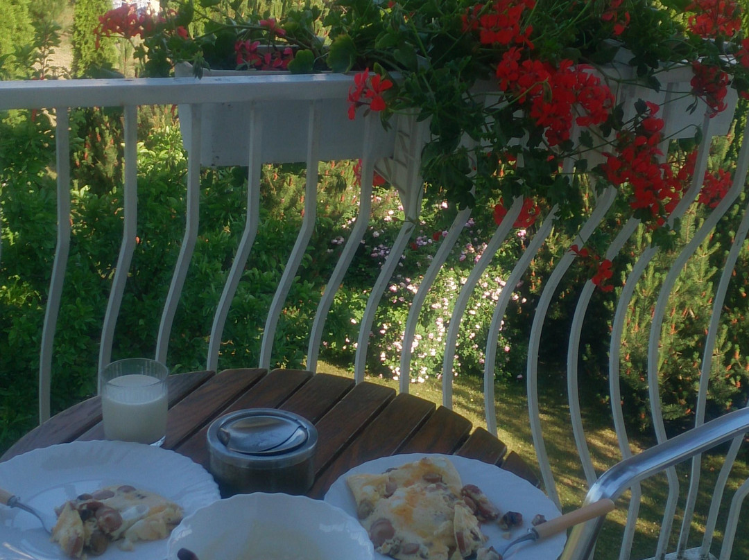 Ankstakiai酒店住宿-Vila Elvina