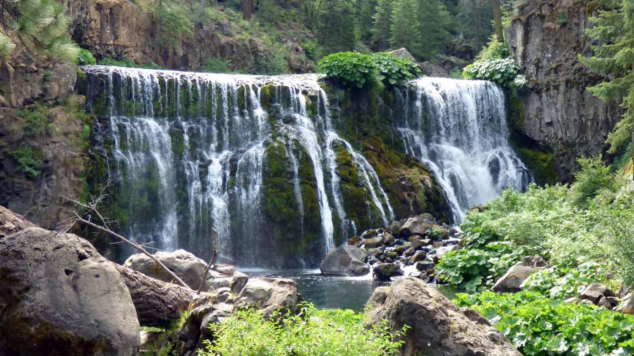 Townhouse Motel-客卧